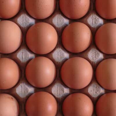 Eggs. Just a lot of eggs