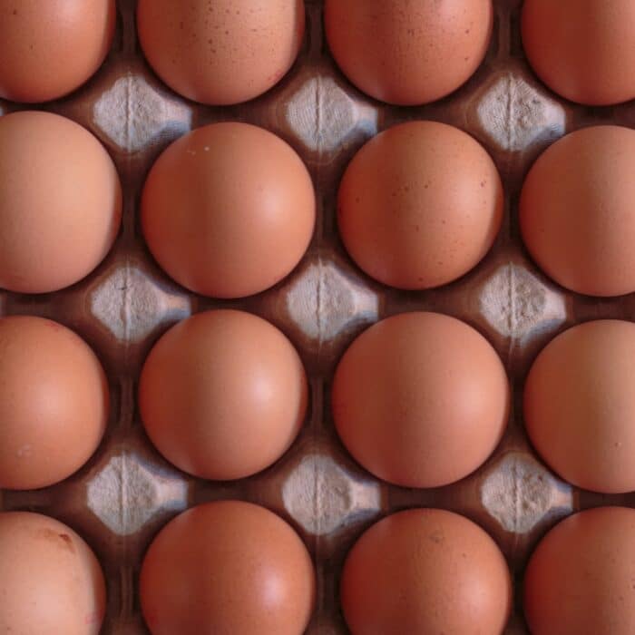Eggs. Just a lot of eggs