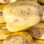 Closeup of Ripe Spaghetti Squash in a Market Display - A group of ripe spaghetti squash, each with a slightly different shape and texture, are stacked neatly in a market display. They are a bright yellow color and appear to be ready for sale.