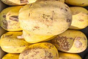 Closeup of Ripe Spaghetti Squash in a Market Display - A group of ripe spaghetti squash, each with a slightly different shape and texture, are stacked neatly in a market display. They are a bright yellow color and appear to be ready for sale.