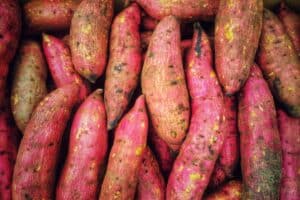 Sweet potato