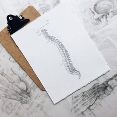 I was feeling some Halloween spirit in studio today after I found some of my old wax transfers of medical drawings! The diagrams are from the Grey’s Anatomy medical book. Happy Halloween!
