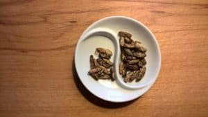 manger des insectes